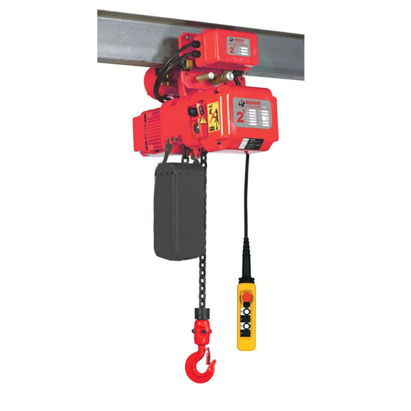 BISON™ Single Speed Hoist with Motorized Trolley &lt;br&gt; 3PH 460/230v